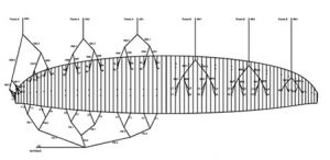 Plano de Linhas TR 27 Plano de Linhas TR 27