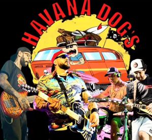 Havana Dog`s Havana Dog`s